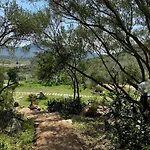 La Casa Di Alice Smeralda Villa *