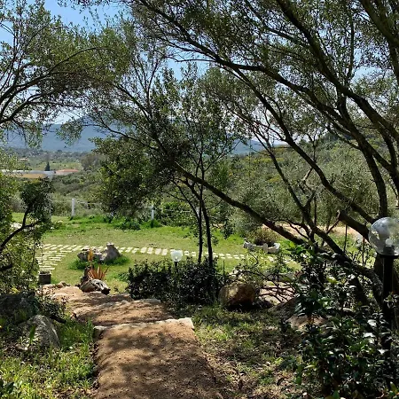 La Casa Di Alice Smeralda וילה *