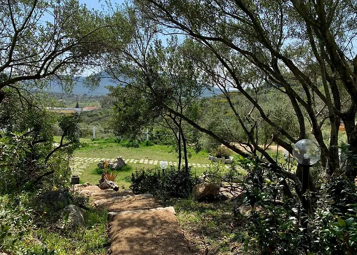 La Casa Di Alice Smeralda Villa *